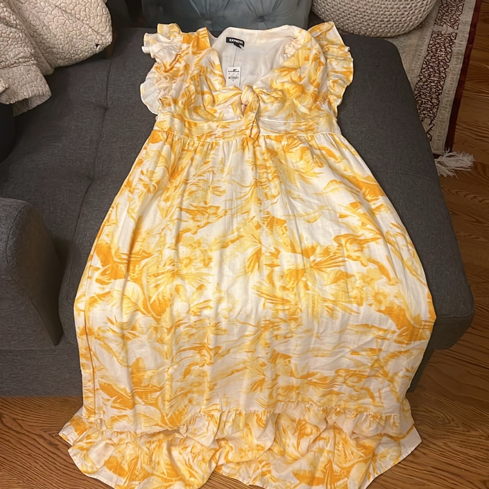 Express Dress - Picture 2 of 3